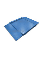 ICS FDL βαμμένη - 150