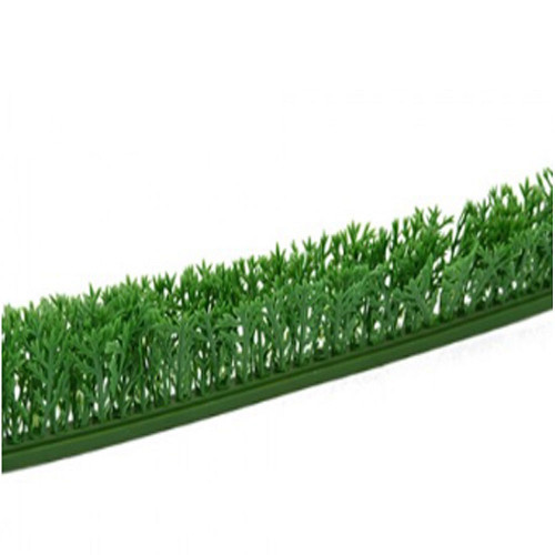 ΧR 18 διακοσμητική πρασινάδα - Άνηθος